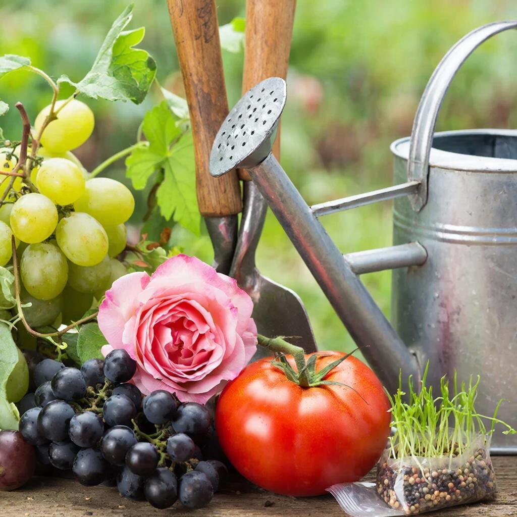 Садоводство без ошибок - результат гарантирован.