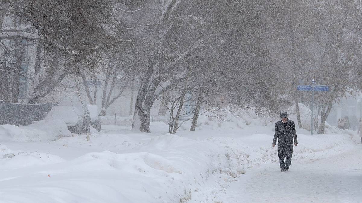    Фото: Василий Кузьмиченок / АГН Москва