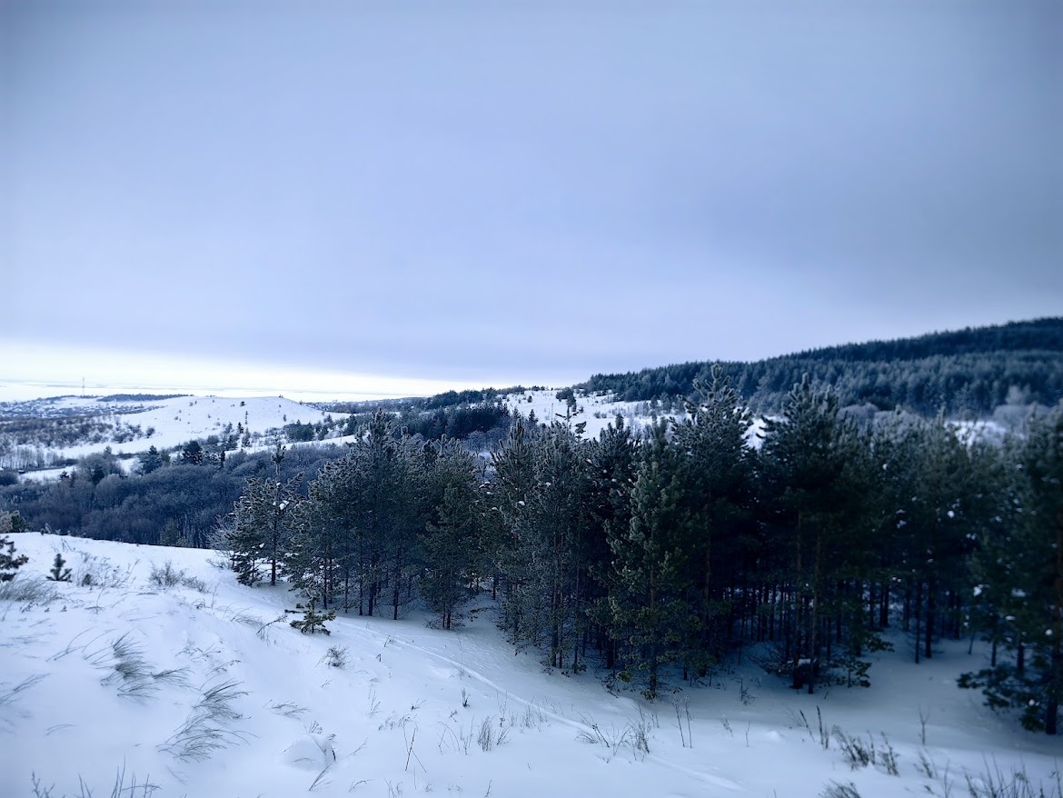 Природа Хвалынска 