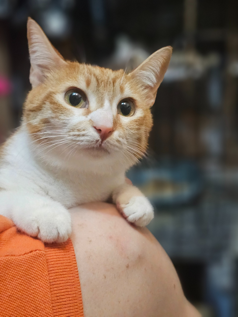 Фото автора. Софийка