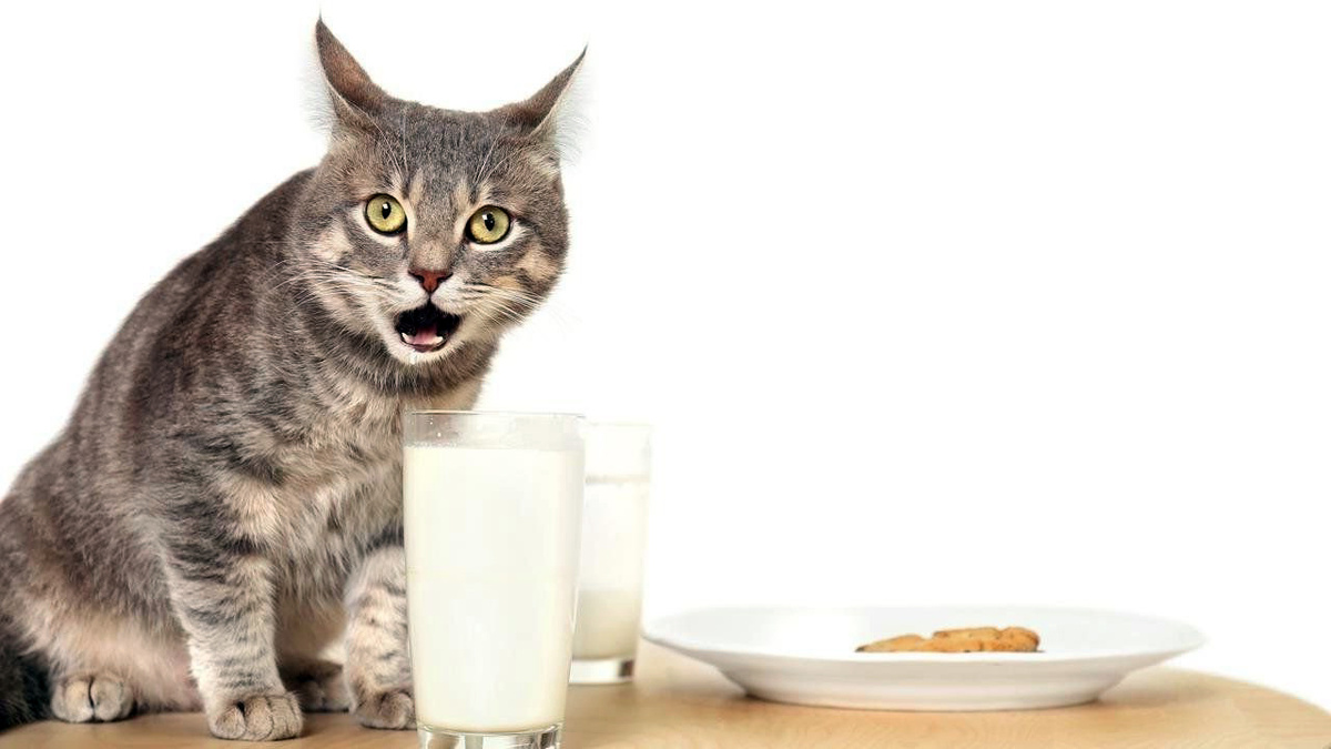 Фотография из интернета