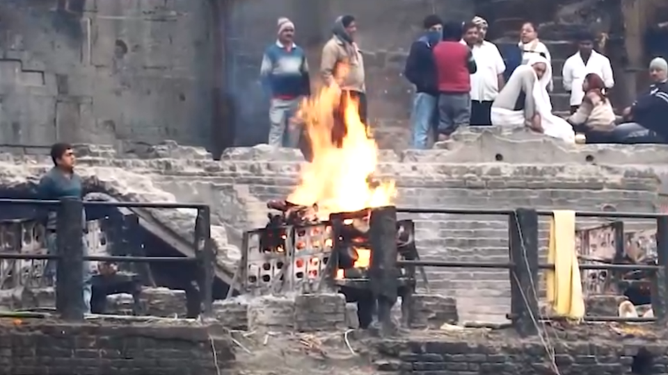 ФОТО: Кадр из программы "Как устроен мир", РЕН ТВ