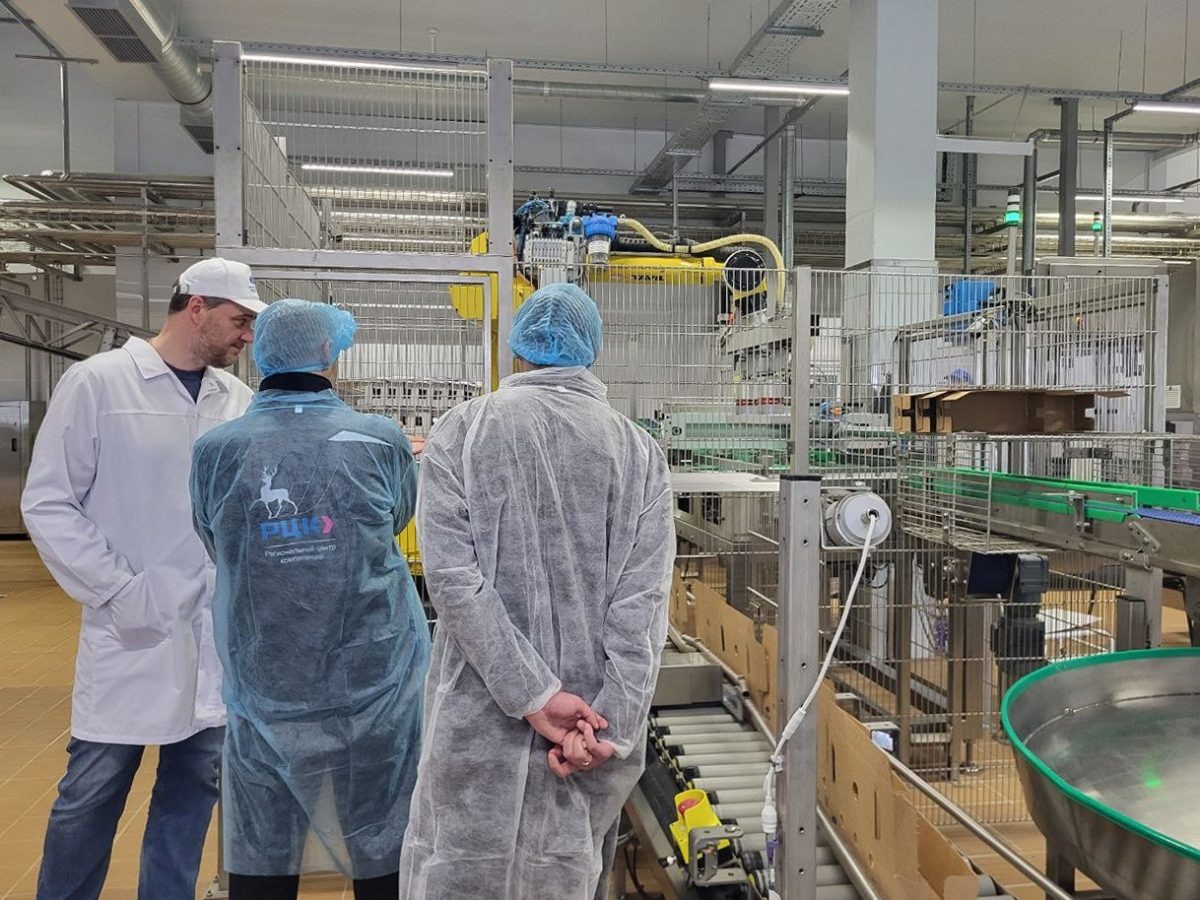    На 17% увеличится выработка у нижегородского изготовителя молочной продукции благодаря федпроекту «Производительность труда»
