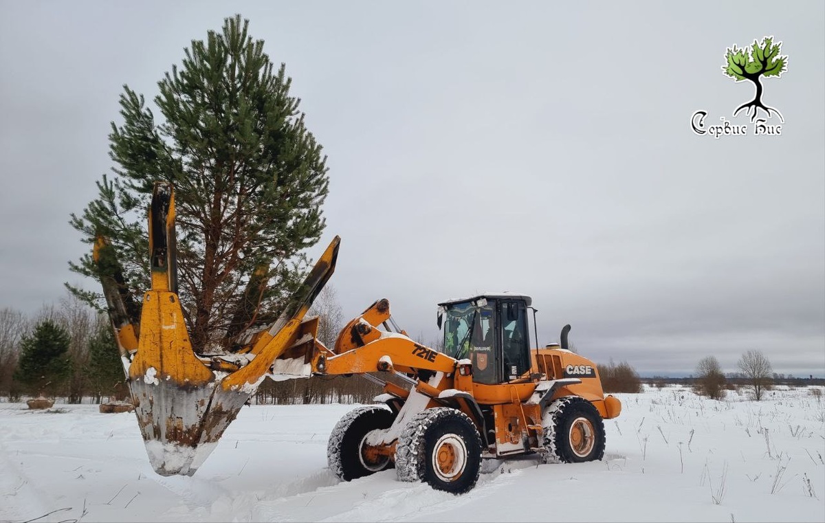 Пересадка крупномеров техникой на питомнике деревьев Сервис БиС