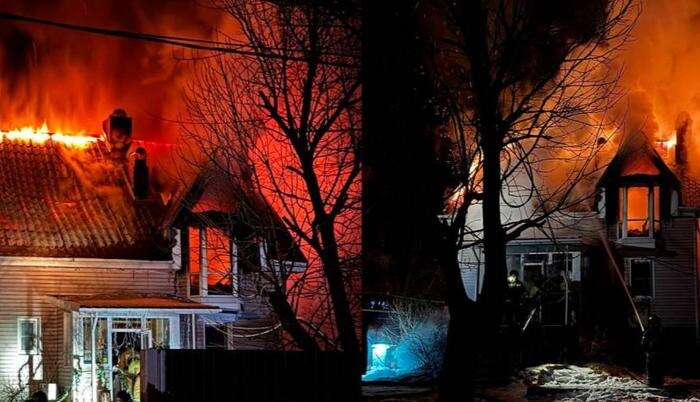 Обложка © zoopark-vl.ru