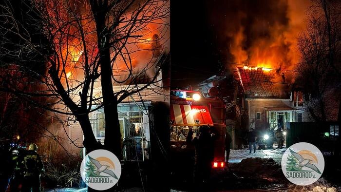 Пожар в зоопарке во Владивостоке. Коллаж © zoopark-vl.ru