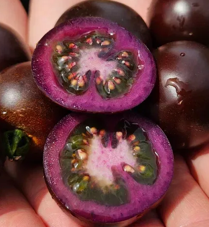 Неприличные покупки огородника. Или как остановить покупку семян к сезону 2026?