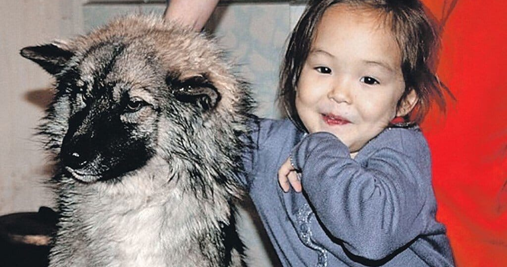 В Якутии трёхлетняя девочка выжила в тайге 12 дней — её спасла верная собака