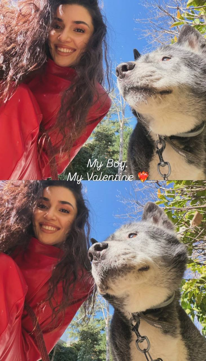 Фото в социальных сетях