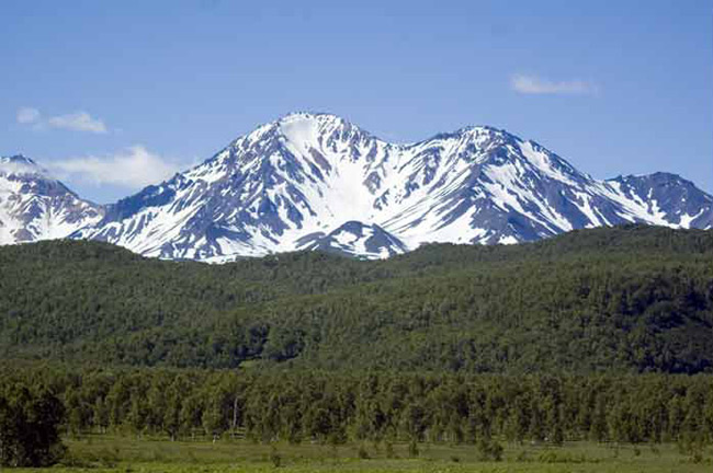 Общественное достояние.
