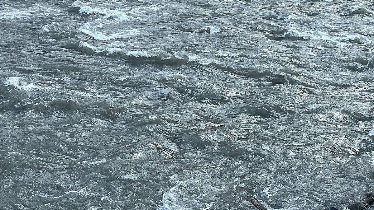    Фото: телеканал «Краснодар»