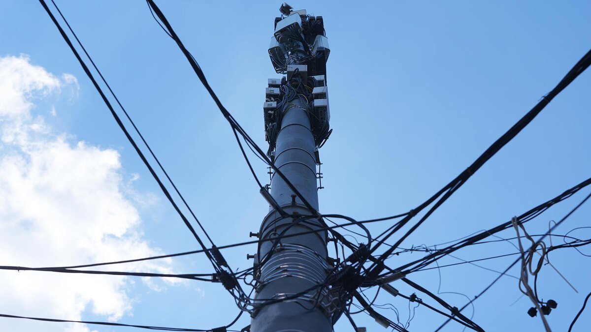    Фото: ИЗВЕСТИЯ/Андрей Эрштрем