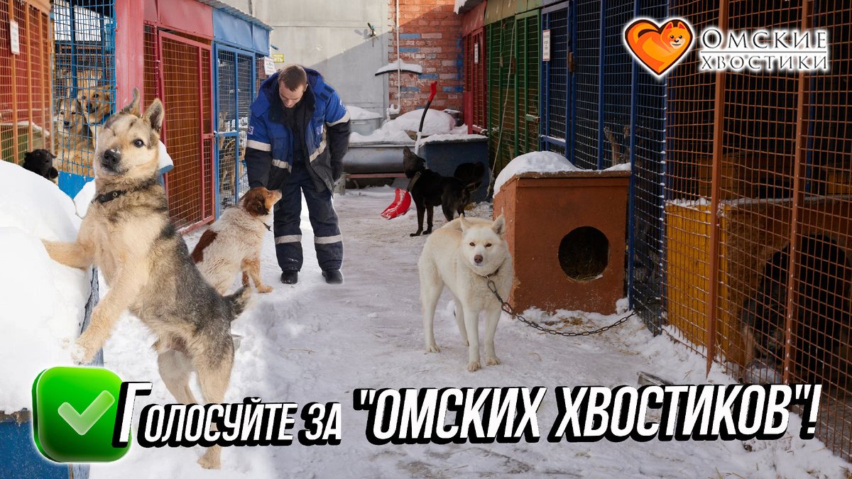 Возможность громко рассказать о поступках, о которых должны узнать люди...