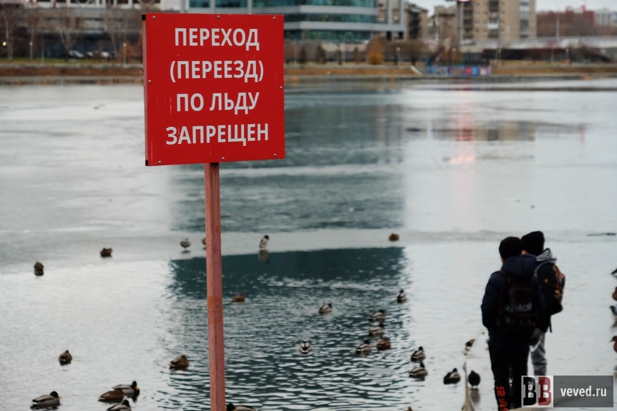     Фото: Владислав Постников / Вечерние ведомости