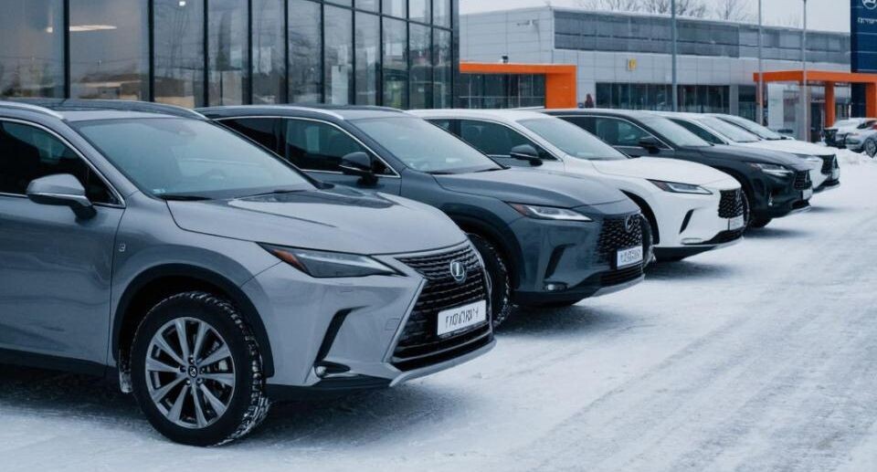    REGIONS/Сгенерировано нейросетью