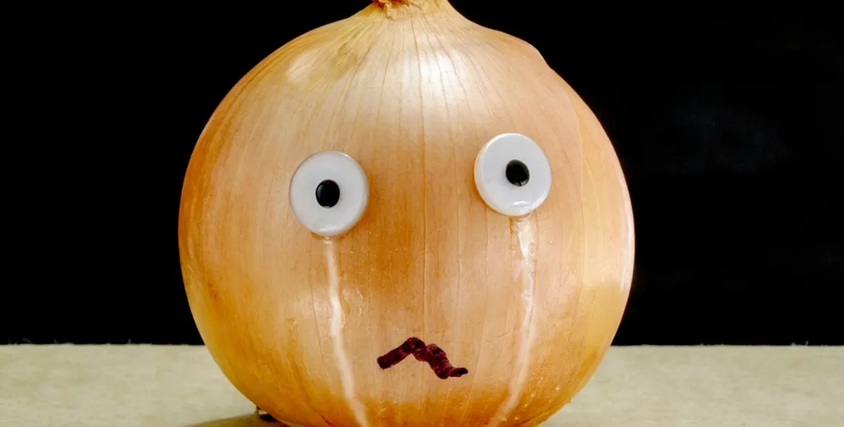 Фото: Shutterstock