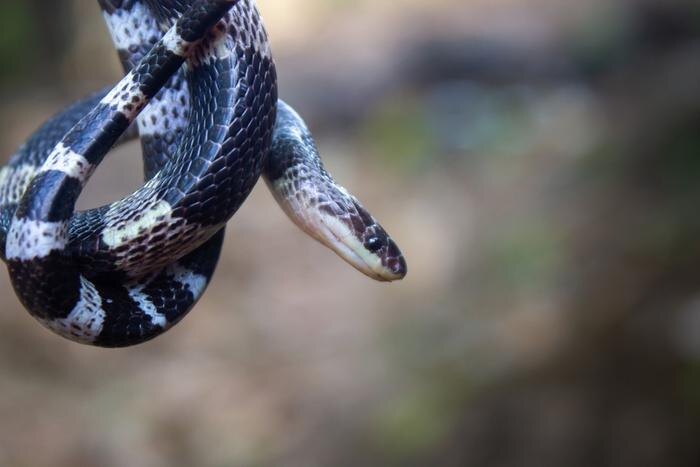 Обложка © Shutterstock / FOTODOM / Andy pash