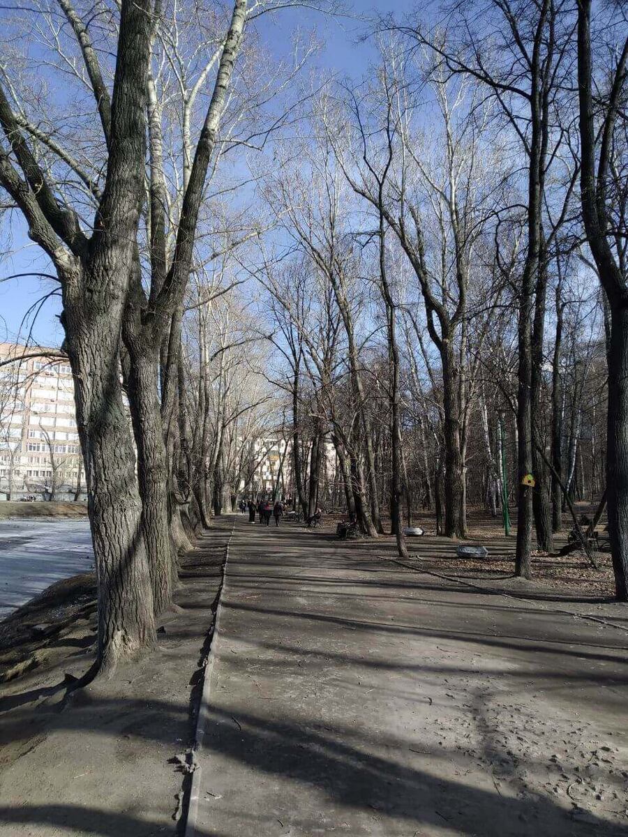 Екатеринбург. Харитоновский парк. Фото: Арина Савина | ВКонтакте (vk.com)