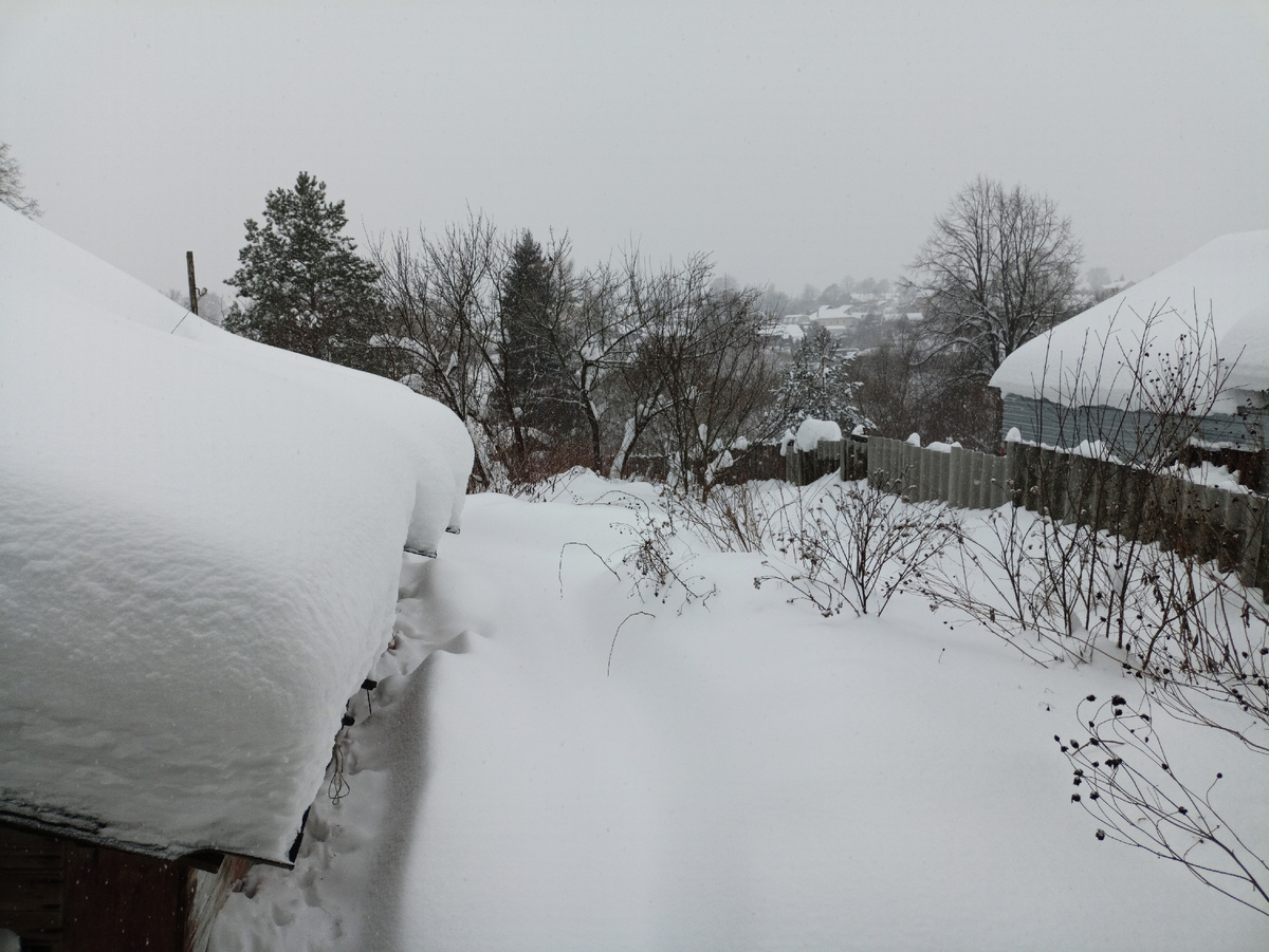 А снега нынче много! 