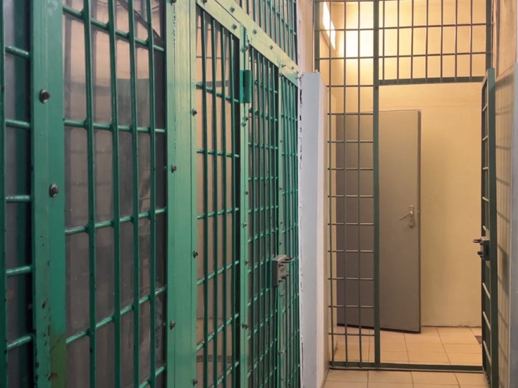     Фото: Дмитрий Шамолин