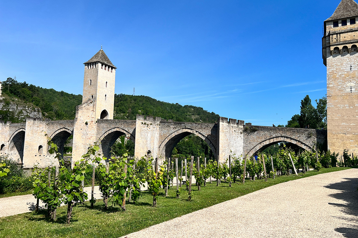 ysalton / Shutterstock / FOTODOM📷Виноградник в городе Каор