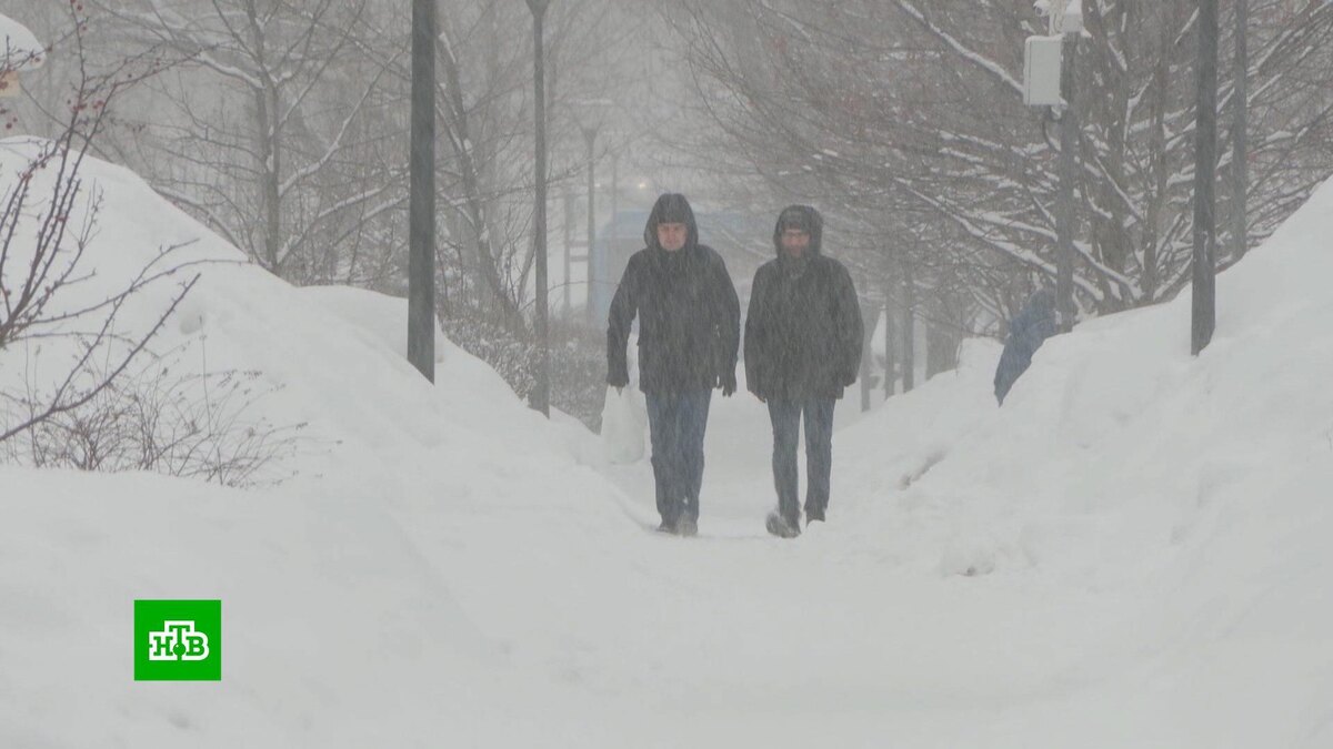    Центральную часть России скует мороз и накроют снегопады