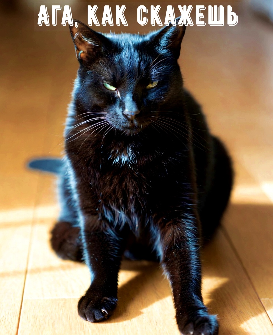 Фима  согласен с моими доводами