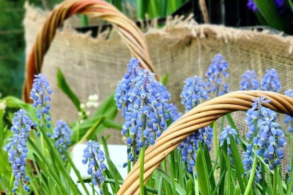    Фото: обладминистрация.