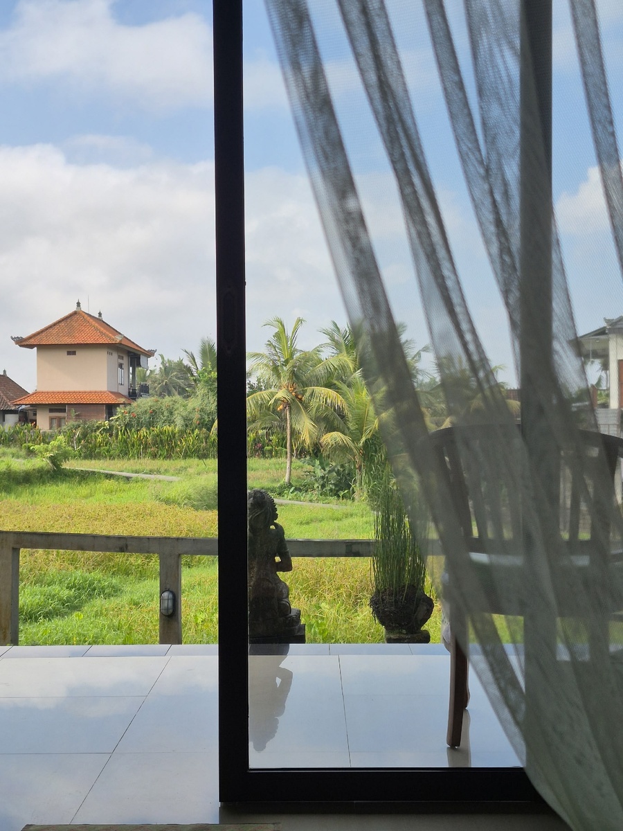 Вид из окна виллы