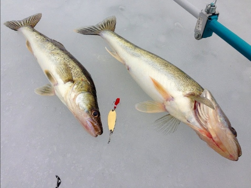 Не половить теперь азовцам