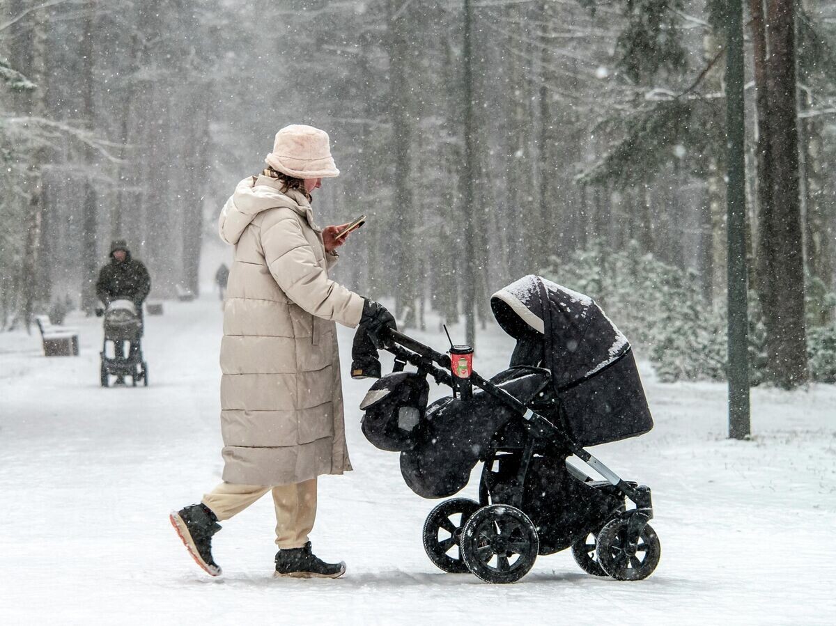    Снег в Санкт-Петербурге | © РИА Новости / Алексей Даничев