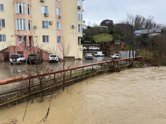    Фото: t.me/officialsochi