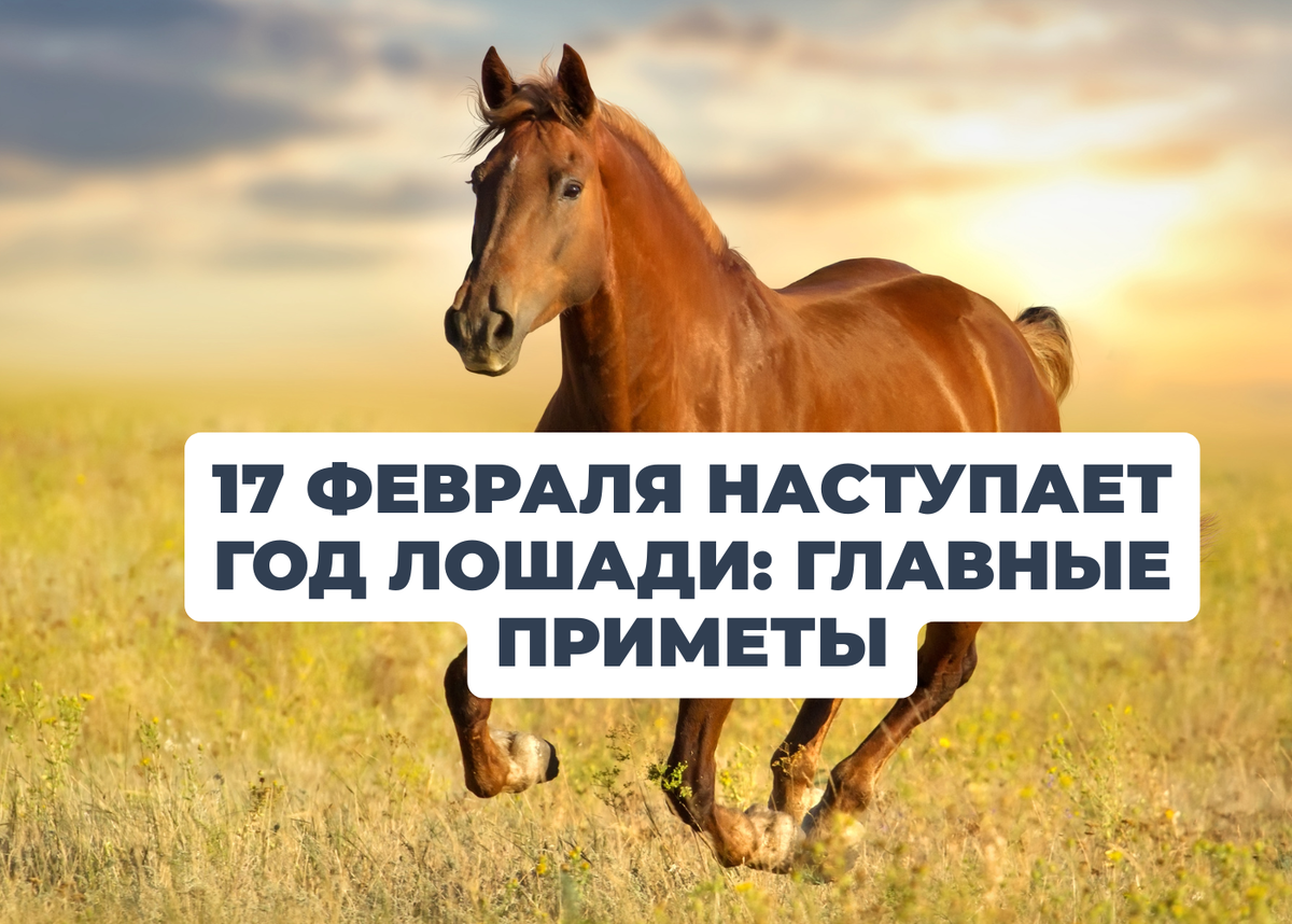 Китайский новый год 2026