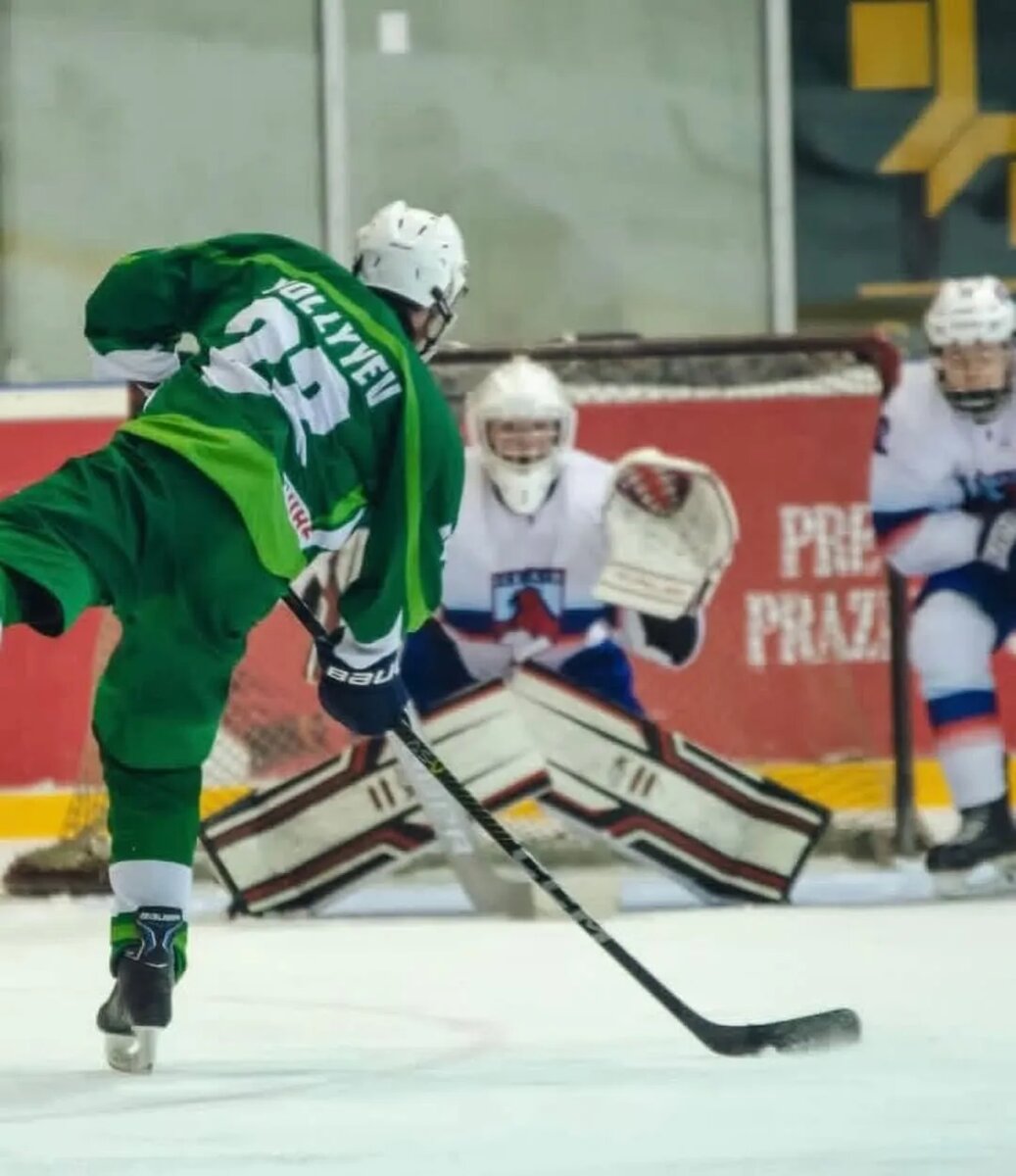    Цветокоррекция оригинального изображения была произведена с использованием ИИ "Ниязов 2.0"