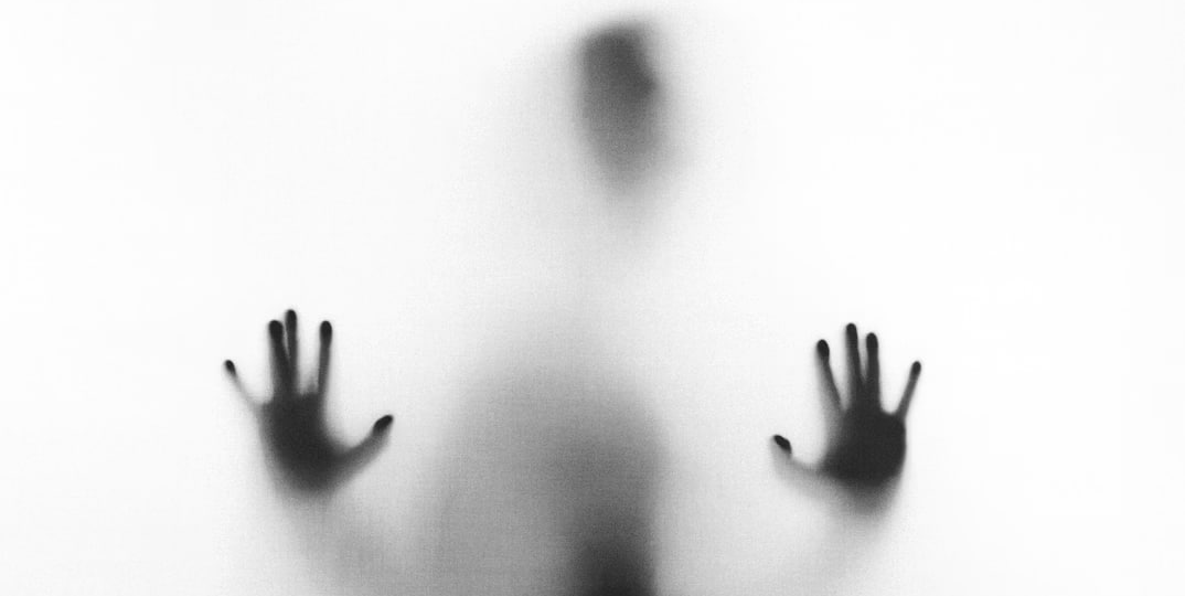 Цифровое бессмертие не за горами?