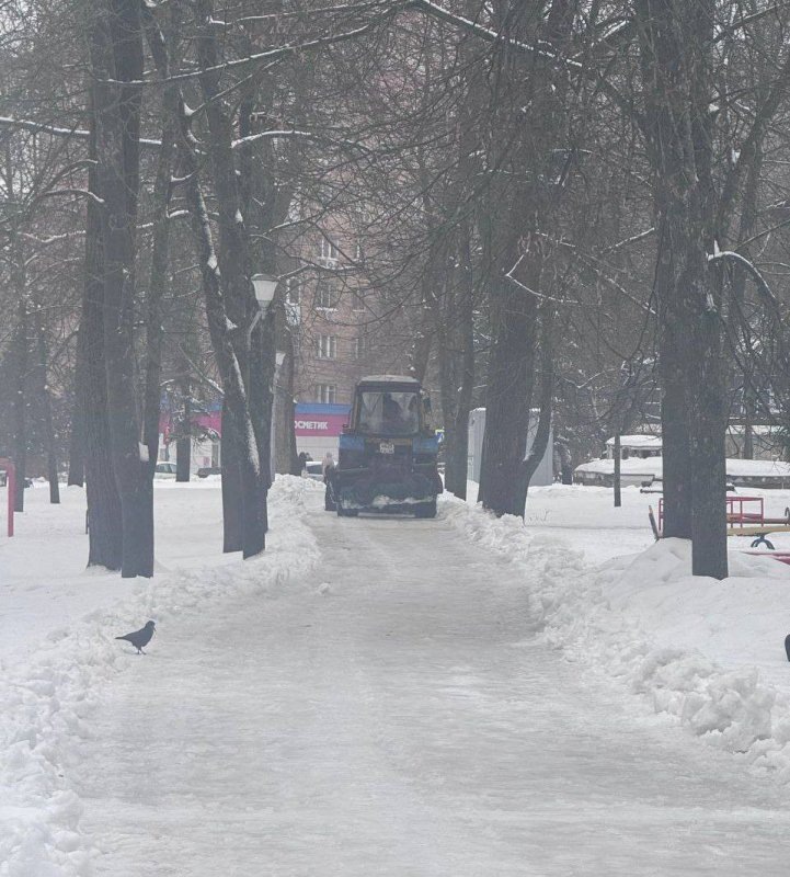     © фото - администрация Курска