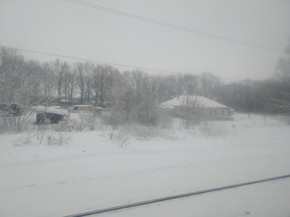 Из окна электрички 31 января 2026. 