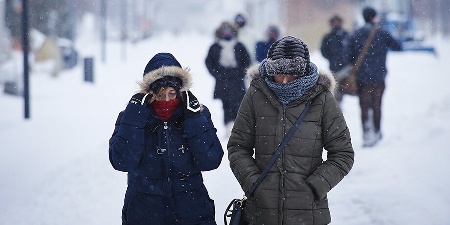    Фото: Москва 24/Александр Авилов