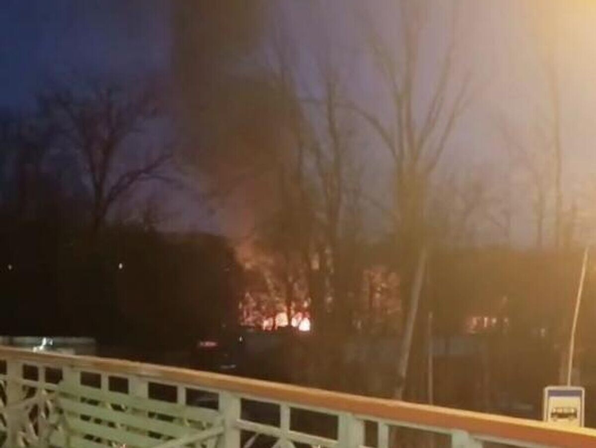    Пожар в частном зоопарке во Владивостоке | © Кадр видео из соцсетей