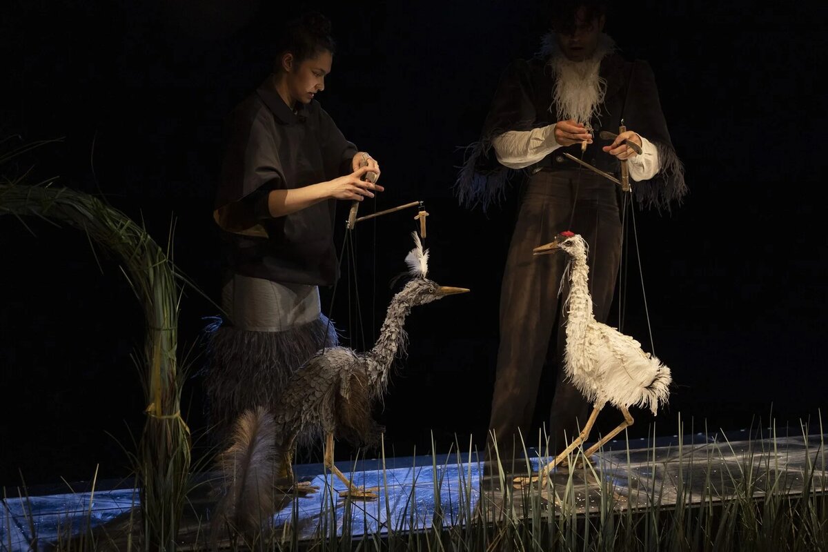 фото https://puppets.ru