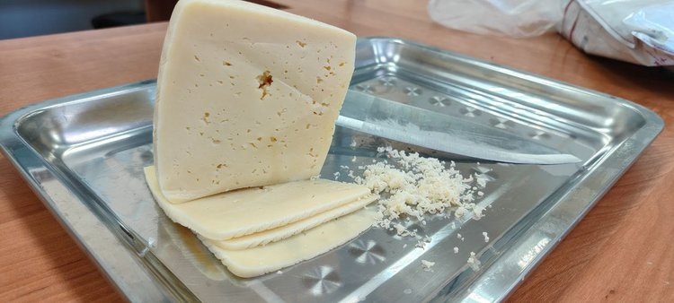    Фото: ФГБУ «АПК НАЦРЫБА»