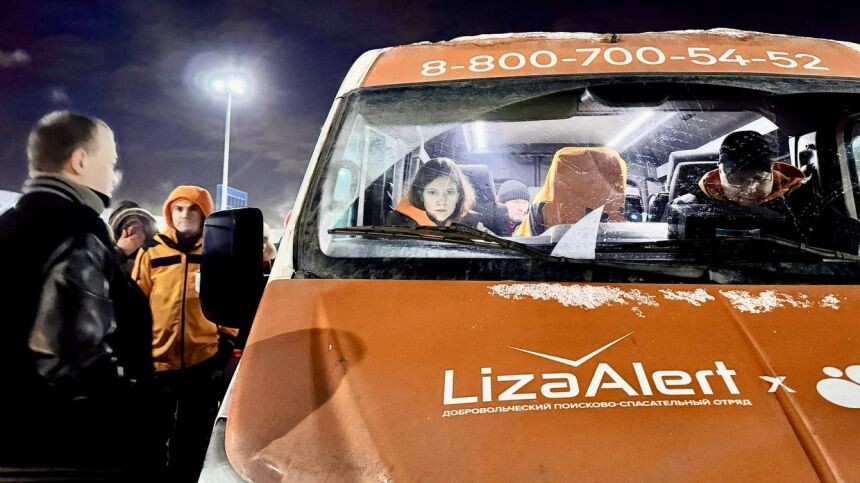     / Источник: © Лиза Алерт