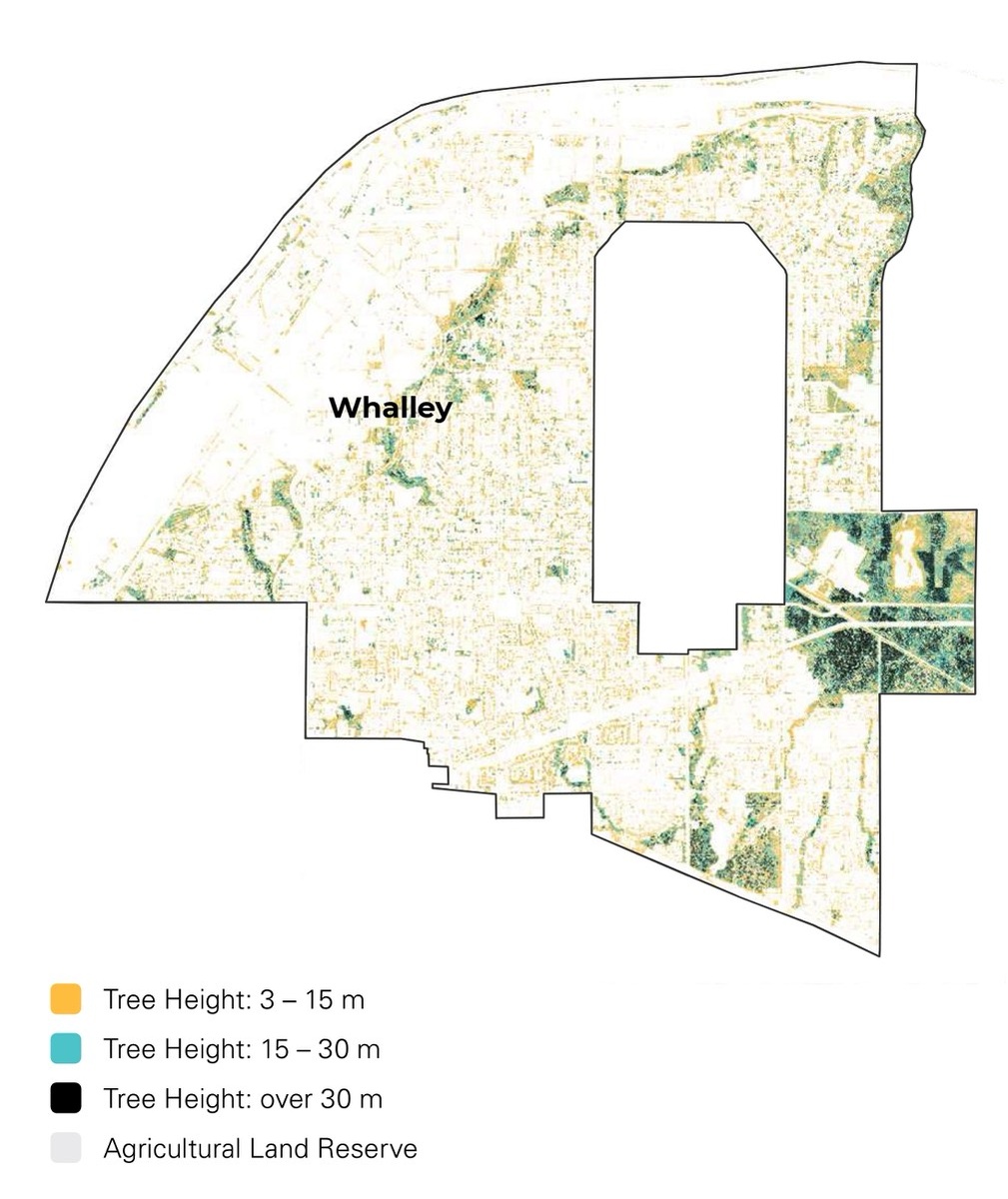 Пример схемы анализа древесного полога: район Уолли, г. Суррей, Канада. 
Источник: Urban Forest Management Strategy  📷
