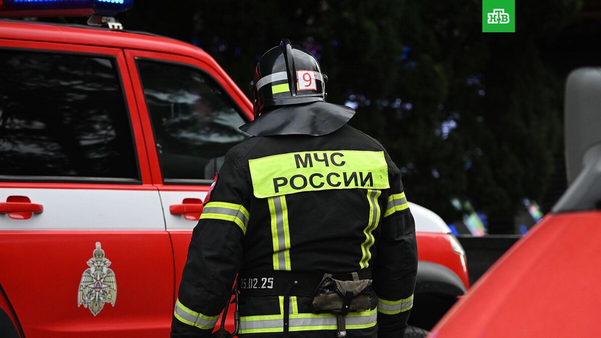    Фото: РИА Новости © 2026, Константин Михальчевский