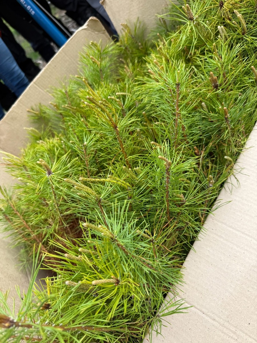    Фото: Министерство природных ресурсов и экологии РК