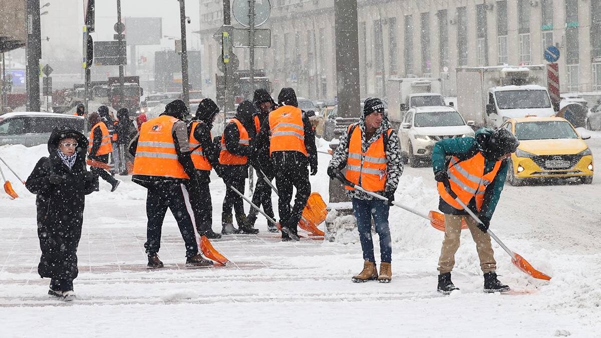    Фото: Ярослав Чингаев / АГН Москва