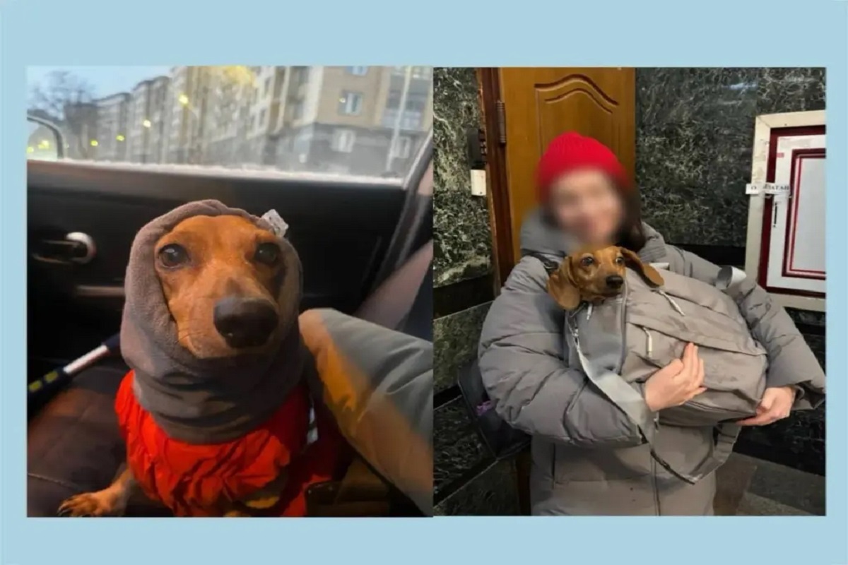    Фото: пресс-служба ГУ ФССП России по Петербургу