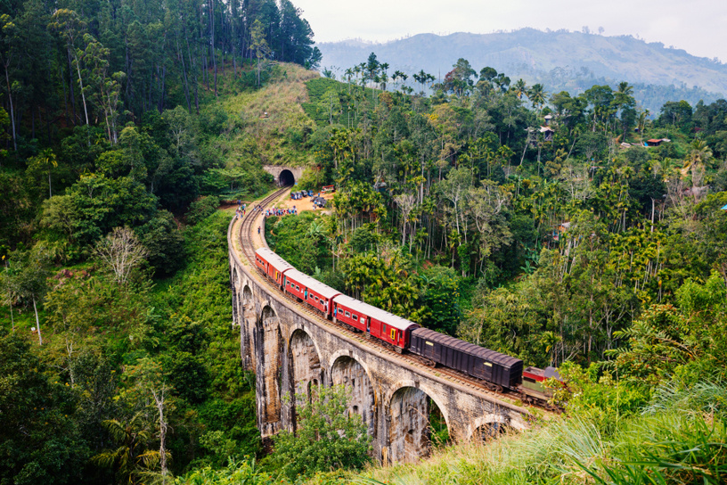фото взято из свободного источника