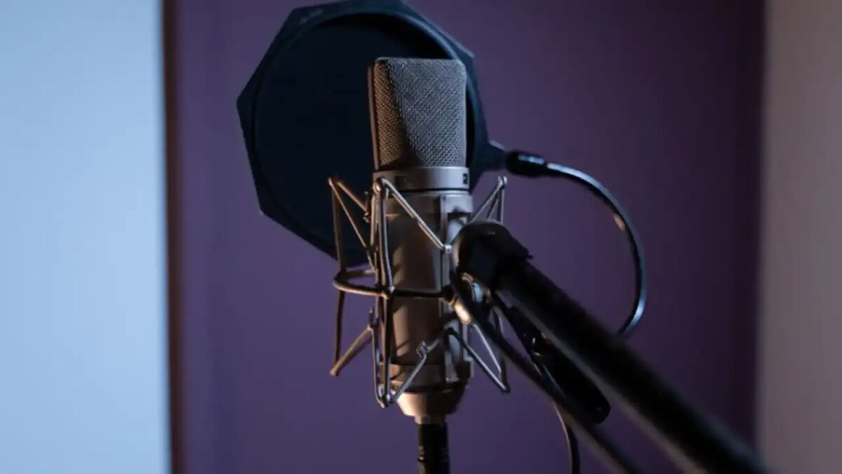    Микрофон. © ru.freepik.com