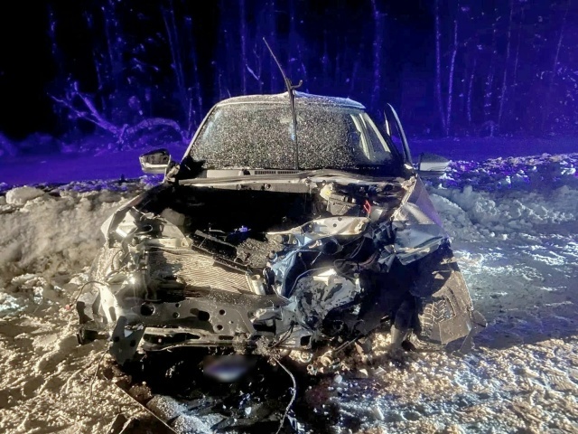    ФОТО: Госавтоинспекция Костромской области